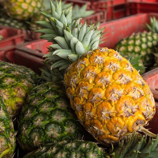 Sweet MD2 Fresh Pineapple Vietnam Fruit Packaged carefully and Quick response from Vietnam (Ho Chi Minh Port) - Image 6