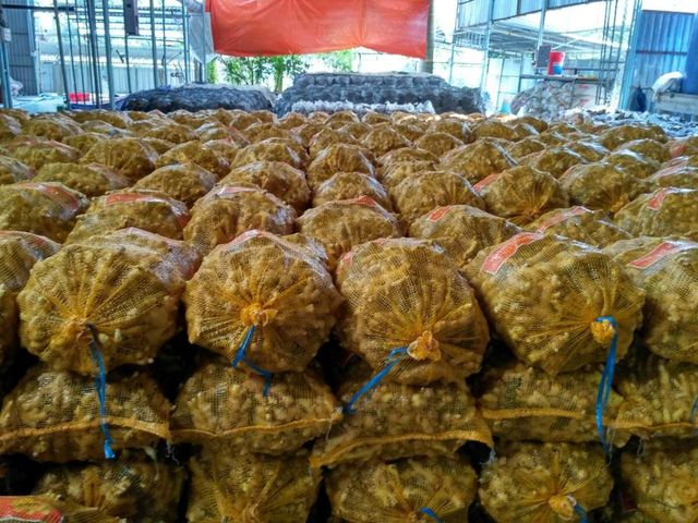 IQF - Fresh/ Frozen Ginger Fruit Export - Wholesale High Quality (Certification: GAP, HACCP...) - 100% Organic - Best Price - Image 3