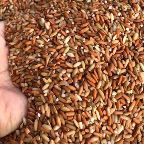 Brown rice -- High Quality | Best Price | Wholesale | Vietnamese Exporting Product | Navalo - Manufacturer – product photo 5, product detail gallery