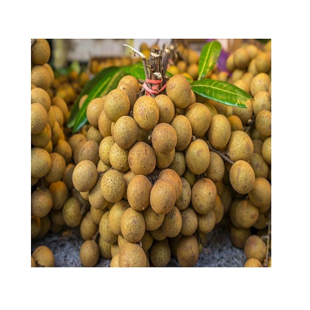 High quality IQF Frozen Longan seedless from Vietnam - Frozen Longan 100% - Image 3