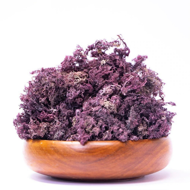 Purple SeaMoss/ Irish Moss - making sea mos Gel with Good Quality and Best Price - Seafood From Vietnam - Image 3