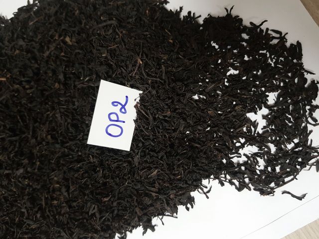 Health Tea Tea New Tea from Vietnam Crop Black Drinks High Grade Healthy 2 - 3 Years Fermented 25 Kg - Image 3