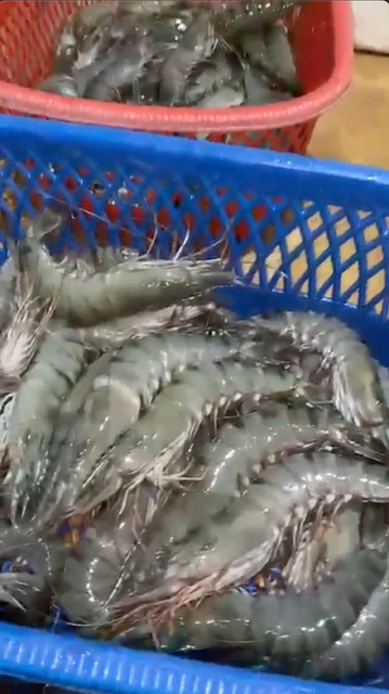 Frozen Tiger Prawn 8-10 HOSO Form frozen Texture Firm Place of Origin Indonesia Size 8-10, 8-10 Pieces Per Kilogram Freezing Method Individually Quick Frozen (iqf) - Image 4