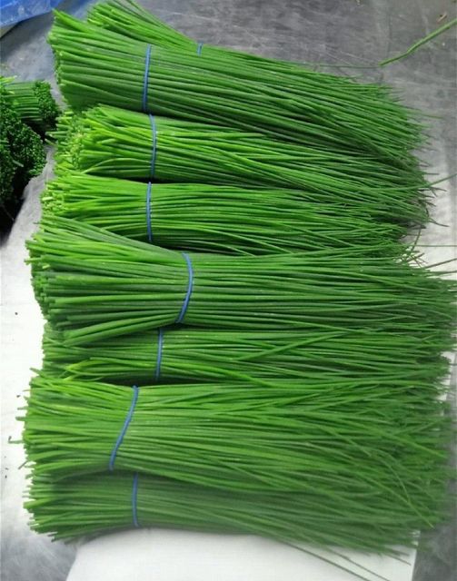 Chives - Image 1