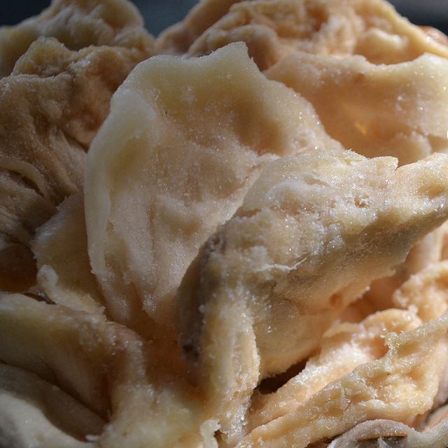 Sugar Free Soft Dried Soursop Tea Top quality Cheap Price Product Fruit Whole For Delicious Healthy Snack Non GMO Free Sample - Image 3
