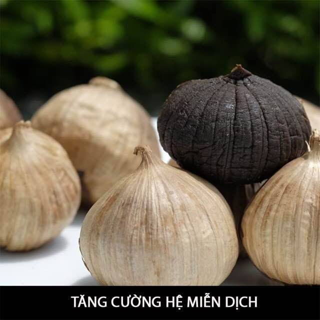 Vietnam Organic fermented whole bulb black garlic single clove/multi-clove healthy with high quality and competitive price - Image 4