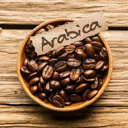 Arabica Coffee Wholesale Coffee - Vietnamese Freshly Roasted Arabia Coffee Beans - Best Quality Grade 1 Grade Bulk Packaging – product photo 5, product detail gallery