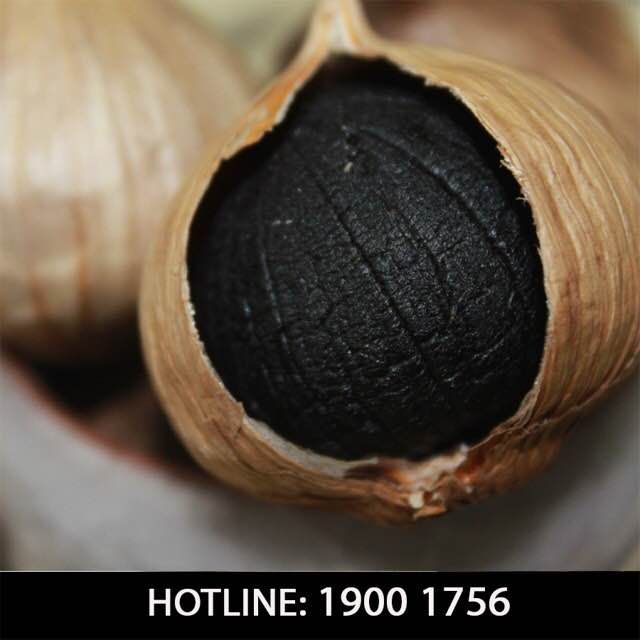 Vietnam Organic fermented whole bulb black garlic single clove/multi-clove healthy with high quality and competitive price - Image 5