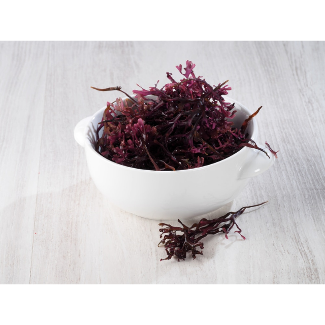 Purple SeaMoss/ Irish Moss - making sea mos Gel with Good Quality and Best Price - Seafood From Vietnam - Image 4
