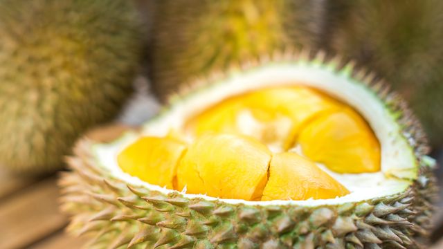 Monthong Durian Made In Vietnam So Fresh Premium Quality Fresh Whole Piece /Frozen Pulp Durian Fruit Monthong - Image 5