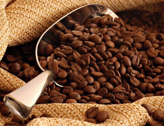 Arabica Washed Green Coffee Bean Packaging Bulk Weight (kg) 60 Variety Robusta Type Coffee Bean Max. Moisture (%) 3 Model Number - Image 4