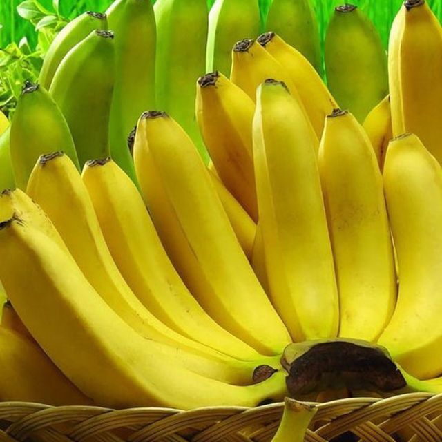 Fresh Green Banana from Vietnam / High quality Banana fruit for wholesale / Good Price (Ho Chi Minh Port) - Image 4