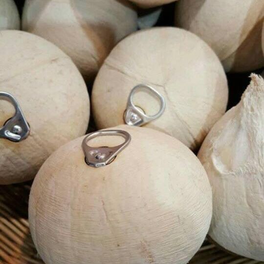 Fresh Young Coconut export from Vietnam - 100% Organic High Quality – product photo 4, product detail gallery