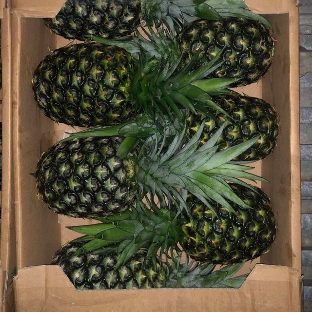 Vietnam Fresh Pineapple for US, EU, ASIA Market – product photo 3, product detail gallery