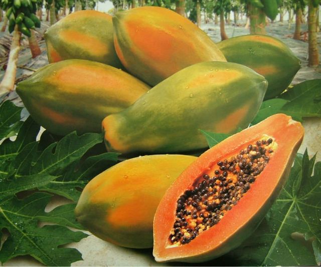 Fresh Papaya Fruit from Vietnam Low price for export 100% High Quality Fruit - Image 5