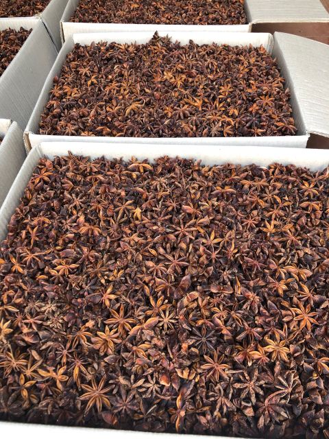 Star Anise Kim Vuong 2021 Best Quality Chilli & Pepper Natural Color,natural Red Bown Single Herbs & Spices Natural Dried 1000kg - Image 4