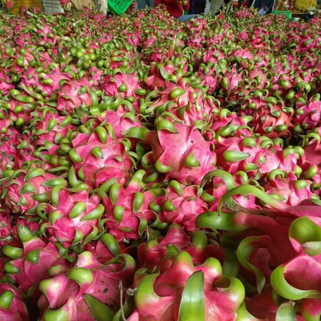 Red Flesh Dragon Fruit guaranteed New and Fresh / Export quality with Good Price (Ho Chi Minh Port) - Image 5