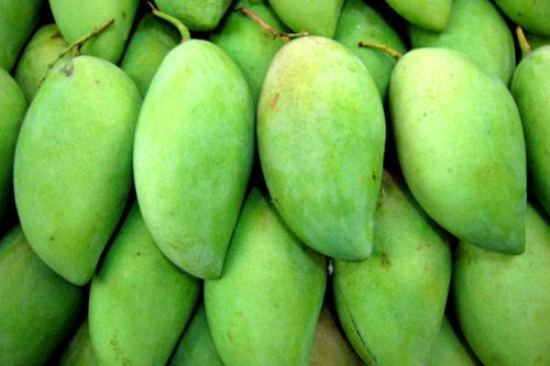 Mango Fruit from Vietnam - Best price for export 100% Organic Fruit Variety Fresh Mango Grade A Type MANGO Brand Name NHP FOODS - Image 4