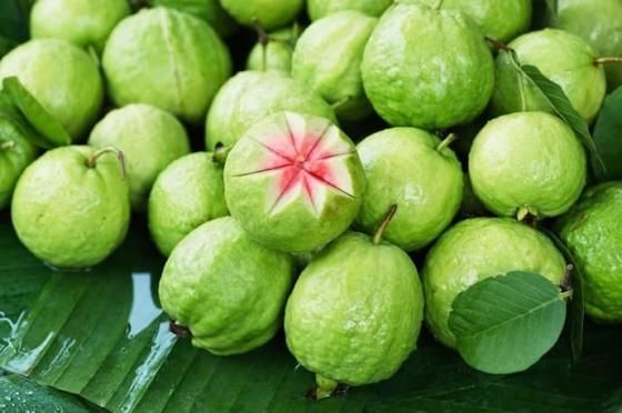 Guava export Vietnam is widely grown in many regions, guava has a natural sweet and sour taste, with high vitamin C content. - Image 3