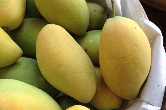 Fresh CAT HOA LOC Mangoes fruit from Vietnam - 100% Organic - Best Price for Export - Pakistani Mangoes - Image 3