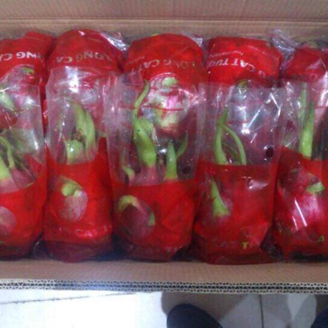 Dragon Fruit with White Flesh guaranteed New and Fresh / Export quality from VietNam - Image 3