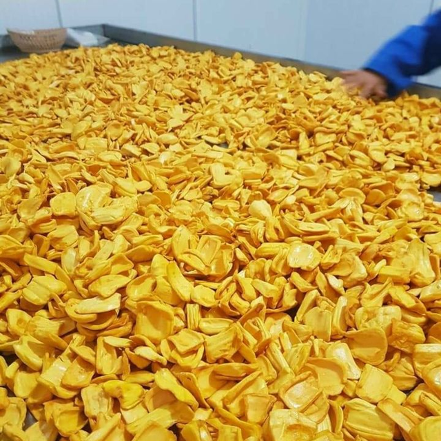 Vietnam High Quality Of Jackfruit Soft Dried - Dried Jackfruit Less Sugar - Image 4
