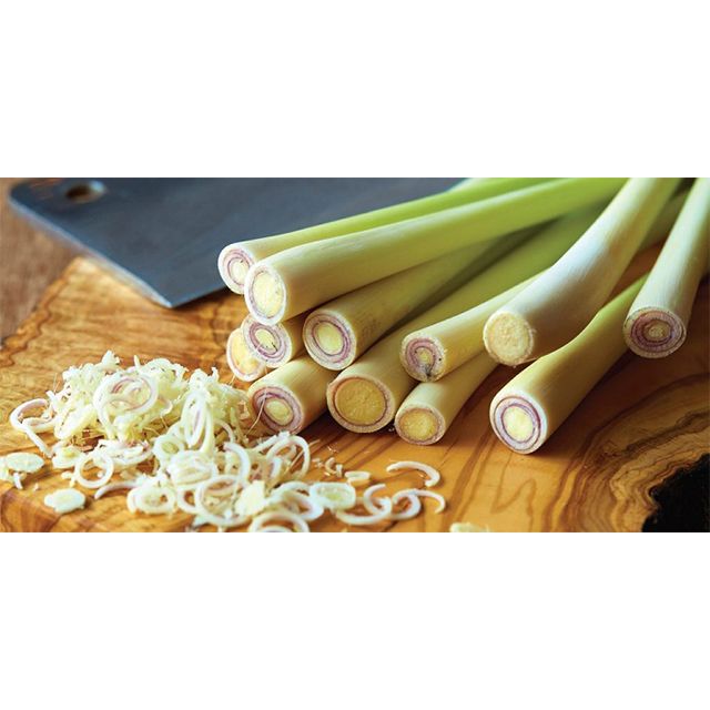 Lemongrass Barbed Wire Grass Made In Vietnam 100% Fresh To Export Cheap Price Hot Sale 2022 - Image 5