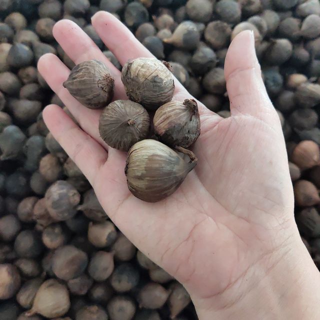 Fermented Black Garlic Organic Vietnam black garlic used as medicine High Quality Healthy Food - Image 5
