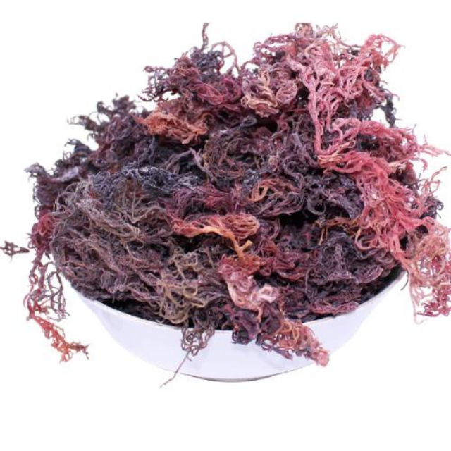Purple SeaMoss/ Irish Moss - making sea mos Gel with Good Quality and Best Price - Seafood From Vietnam - Image 5
