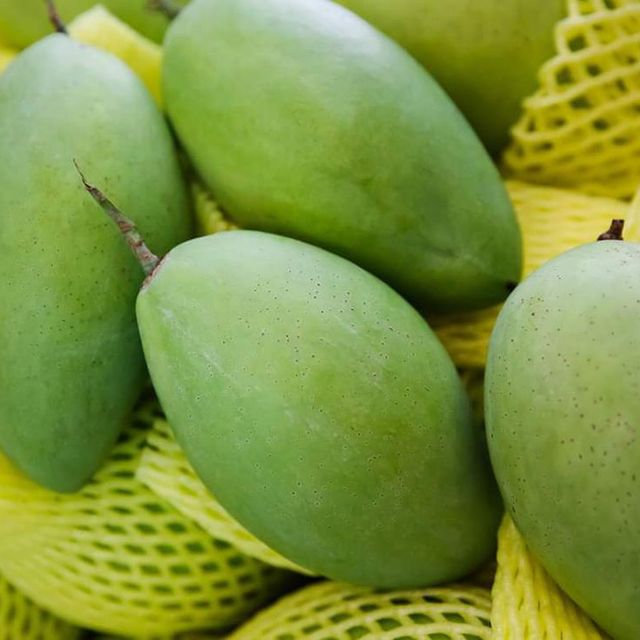 Famous CAT CHU Mango / Guaranteed Sweet and Fresh / Made for Exportation / Quick Response (Ho Chi Minh Port) - Image 6