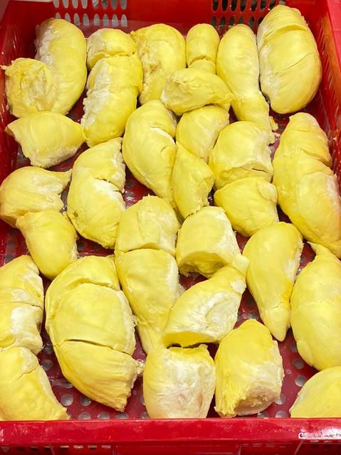 IQF Frozen Durian Monthong - Tropical Fruits & Vegetables from Vietnam - Image 3
