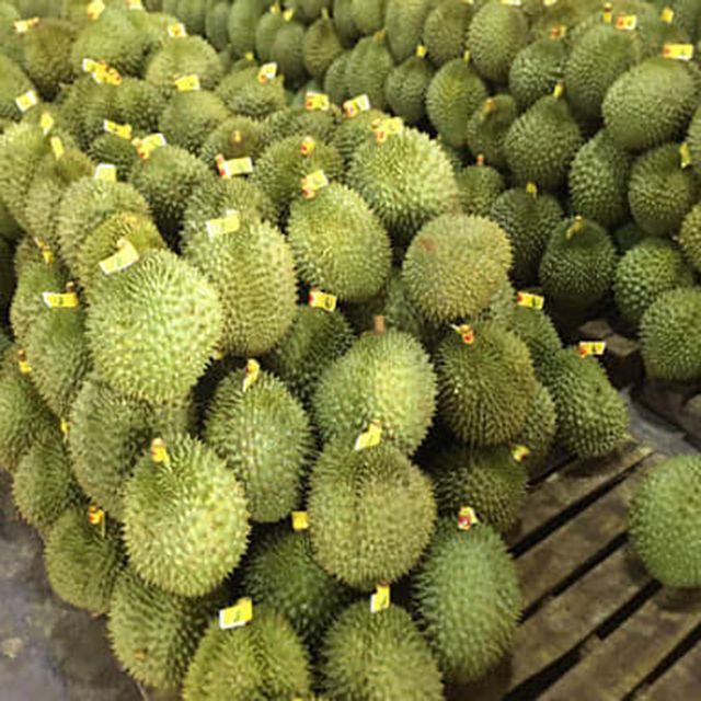 Fresh Durian with high quality and good price from Vietnam (Ho Chi Minh port) - Image 3