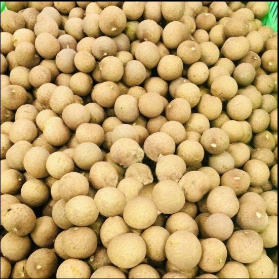Vietnam High quality longan fruit fresh for export good price, Special Longan in Vietnam - Image 4