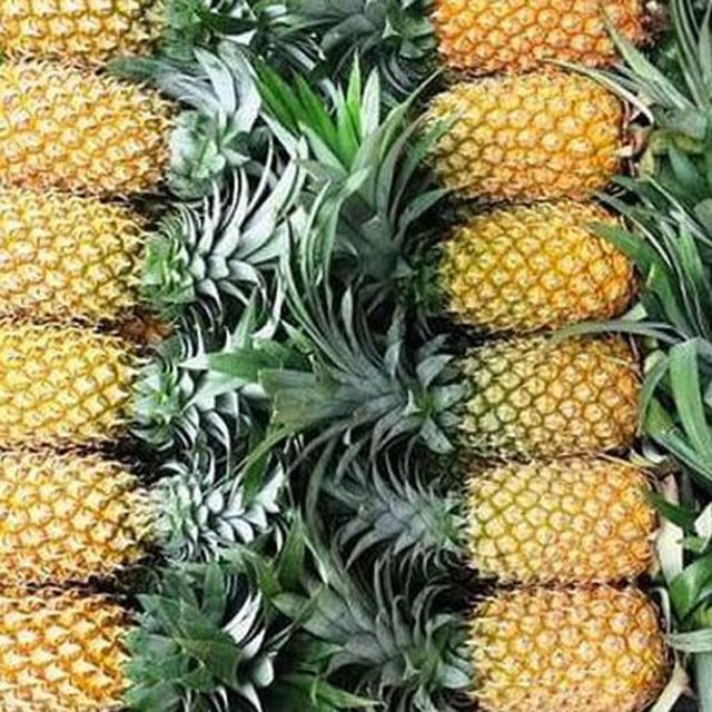 Fresh and Sweet Pineapple from Vietnam / Carefully Packaged and Quick Response / Good Price (Ho Chi Minh Port) - Image 4