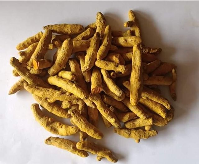 Turmeric - Image 3