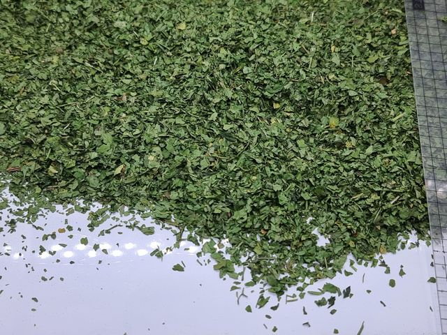 Dried Parsley Texture Leafy Color Vibrant Green Flavor Fresh, Grassy Aroma Strength Strong Chlorophyll Content High Essential Oil Content - Image 1