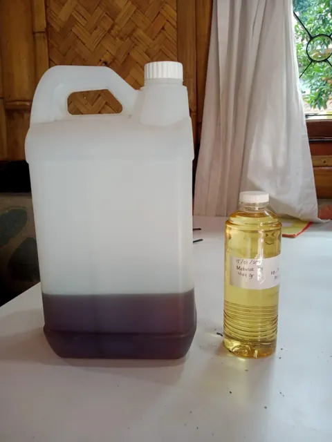 Nutmeg Oil - Image 4
