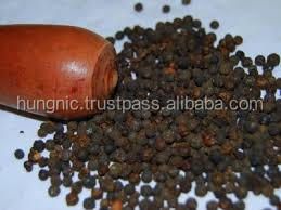 Single Herbs Spices Product Type and Raw Processing Type dried Black Pepper (VIBER/WHATSAPP: +84166 6886 838) - Image 1