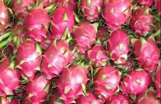 White/Red Flesh Vietnam Dragon Fruit - Image 3