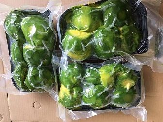 Frozen Avocados Vietnamese exported to EU, US and other markets at the best prices - 100% Fresh Fruit Organic - Image 4