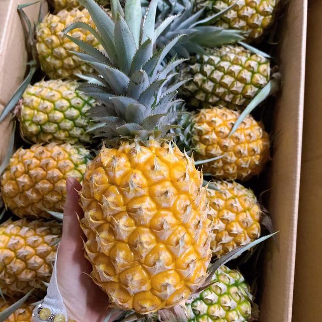 Fresh and Sweet Pineapple from Vietnam / Carefully Packaged and Quick Response / Good Price (Ho Chi Minh Port) - Image 5