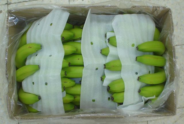 Vietnamese Cavendish Bananaare rich in nutrients for the body and are exported to the EU, ASIA markets and many other countries. - Image 3