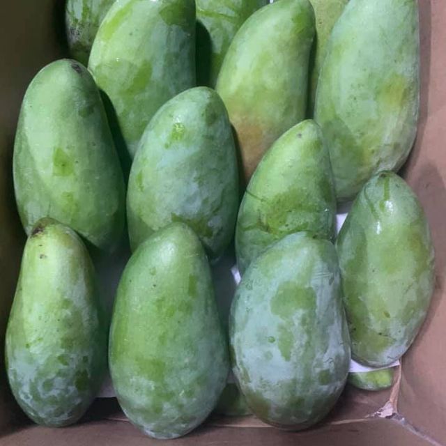 Fresh KAEW Mango from Vietnam's Farm / Guaranteed Sweet and Fresh / Made for Exportation / Quick Response - Image 5