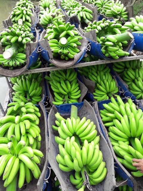 Frozen Banana 100% Natural High Quality & Best price for Importer to many other markets - Image 6