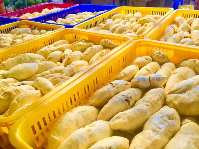 IQF Frozen Durian Monthong - Tropical Fruits & Vegetables from Vietnam - Image 4