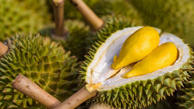 Monthong Durian Made In Vietnam So Fresh Premium Quality Fresh Whole Piece /Frozen Pulp Durian Fruit Monthong - Image 4