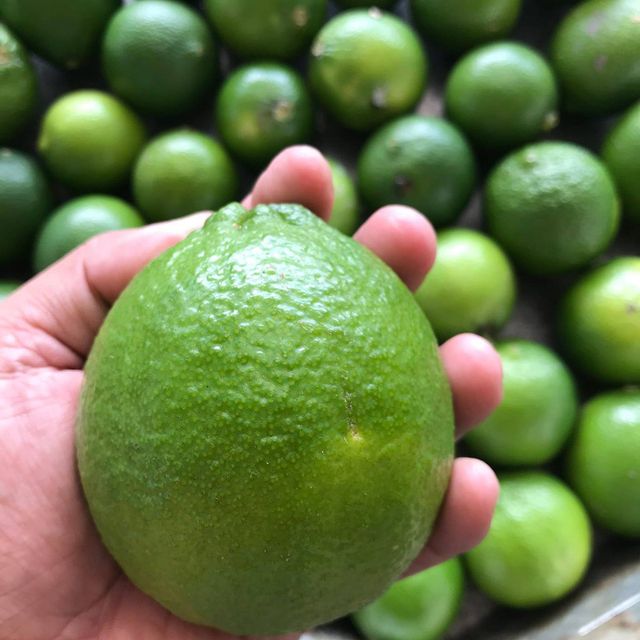 Fresh Seedless Lime (Green Seedless Lemon) Guaranteed Fresh and New / Packaged carefully - Image 2