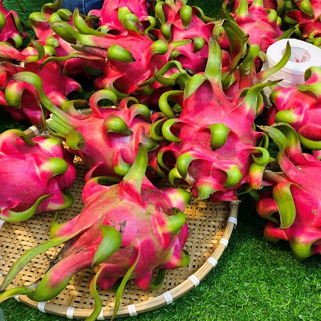 Fresh Red Dragonfruit from Vietnam for the best price to export - VietGAP and GlobalGAP standards in agricultural production - Image 4
