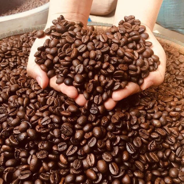 Wholesale high quality robusta and arabica coffee beans Vietnam - Image 4