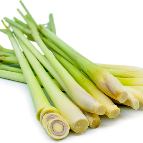 IQF Frozen Lemongrass - Tropical Fruits & Vegetables from Vietnam - Image 1